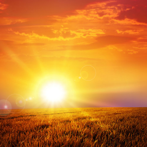 Walk The Omega Path ~ Overview of The Book of The Revelation
